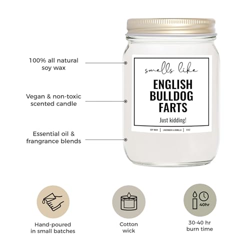 YouNique Designs Smells Like English Bulldog Farts Candle 8 oz - English Bulldog Gifts for Bulldog Lovers - Bulldog Lover Gifts Dog Farts Candle - Funny Bulldog Themed Gifts (Lavender & Vanilla)