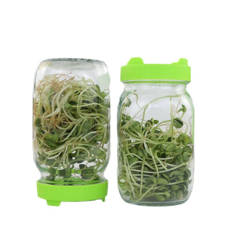 Sprouting Kit for Homegrown Alfalfa & Bean Sprouts - 2 Mesh Lids for Mason Jars Allow Draining