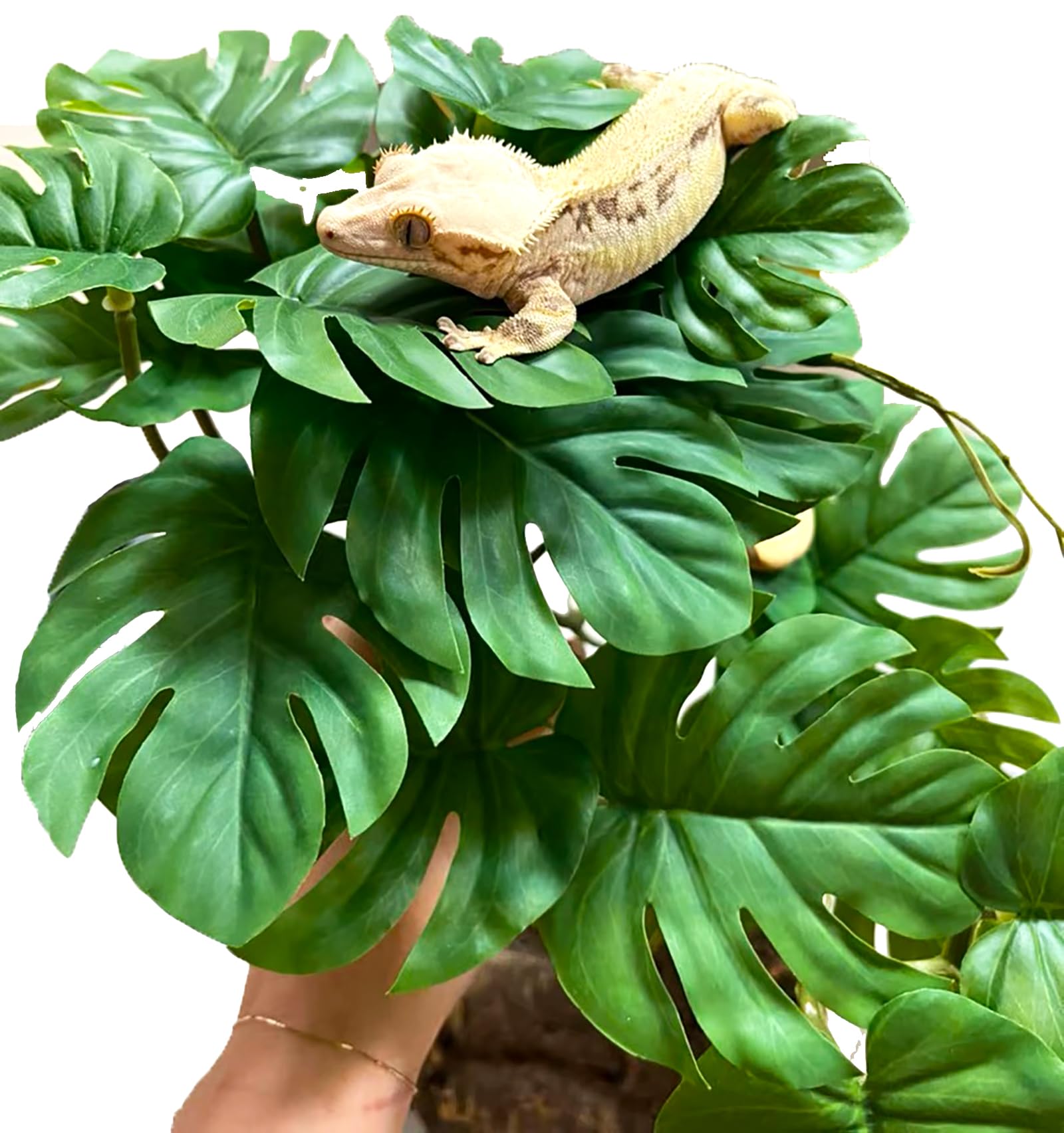 Woyrise Reptile Artificial Plants for Terrarium, Amphibian Habitat Decor Plant, Bearded Dragon Tank Decorations fit Gecko Lizard Chameleon Ball Python Snake Frog - Monstera Bush