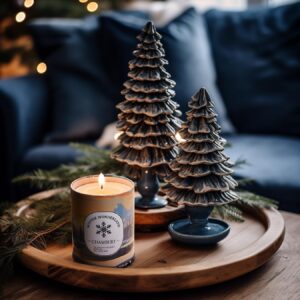 CHAMBERY Winter Wonderland Candle | Inspired by The Rocky Mountains in Premium Tin | Soy Wax with Lead-Free Cotton Wick | 55-Hour Burn | Festive Fragrance for The Season