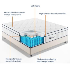 SUAYEA Queen Mattress, 14 Inch Queen Size Mattress in a Box, Hybrid Matterss with Pocket Spring and Soft Foam, Ultimate Motion Isolation