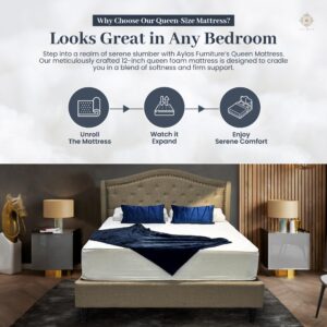 Aylas Furniture Queen Mattress 12 Inch Queen Foam Mattress High Density Reflex Support Layer & Visco-Elastic Comfort Foam & Premium Polyester Cover Eco-Friendly Breathable Firm Queen Size Mattress