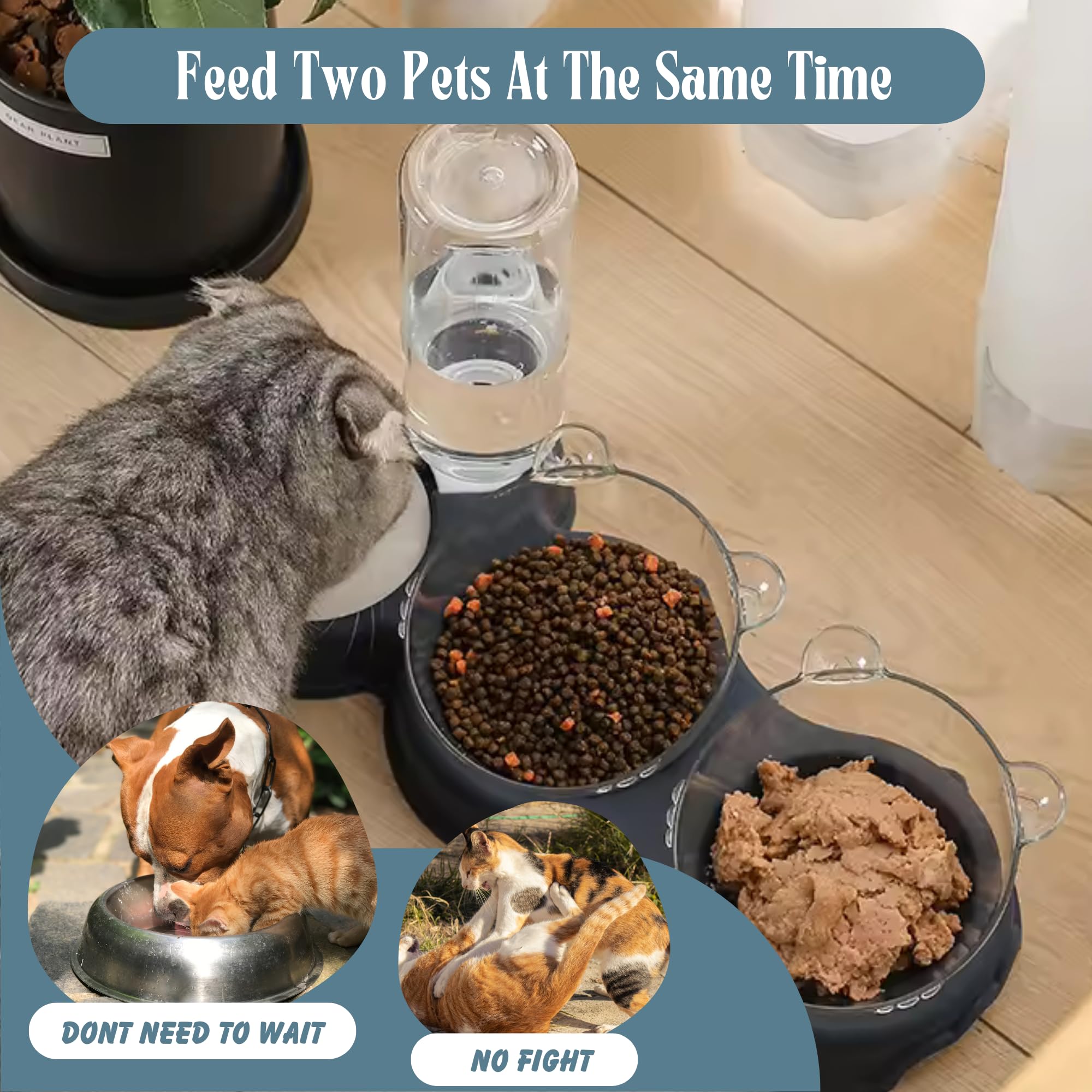 Cat Feeder and Water Dispenser Set - Pet Food Bowl, Cat Food Dispenser, Water Feeder for Cats and Dogs, All-in-One Pet Food and Water Dispenser Solution.