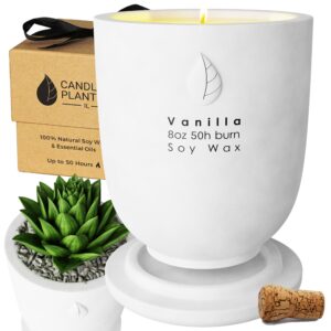 candleplanter concrete cement candle planter - aromatherapy candles for home scented, soy candles - scented candle & dual purpose jar candles, strong scented candles - 8 oz, 50-hour burn