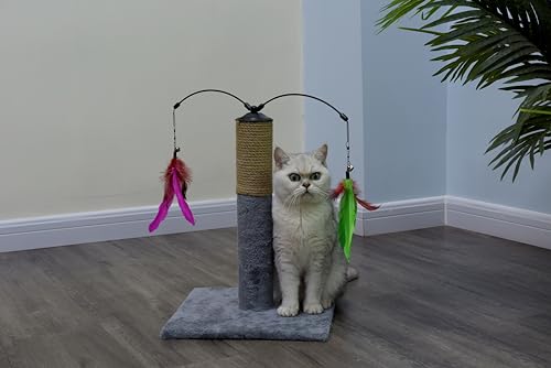 Go Pet Club Everyday Value 19in Scratching Post with Sisal Rope and Interactive Hanging Toy Feather, Gray