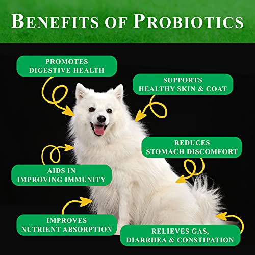 Deluxe Naturals Probiotics for Dogs | All-Natural Dog Probiotic Supplement with Enzymes, Prebiotics, Pumpkin | Promote Digestive Health, Improve Allergy & Immunity, 90 Count (Pack of 2)