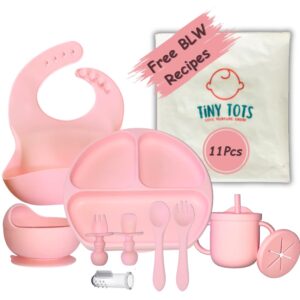 TinyTots Silicone Baby Feeding Set 13 pcs with BLW Recipes. Baby Plates and Bowls Set, Baby & Toddler Spoons Set, Sippy Cup & Lid, Silicone Bib, Baby Toothbrush (6+ Months)