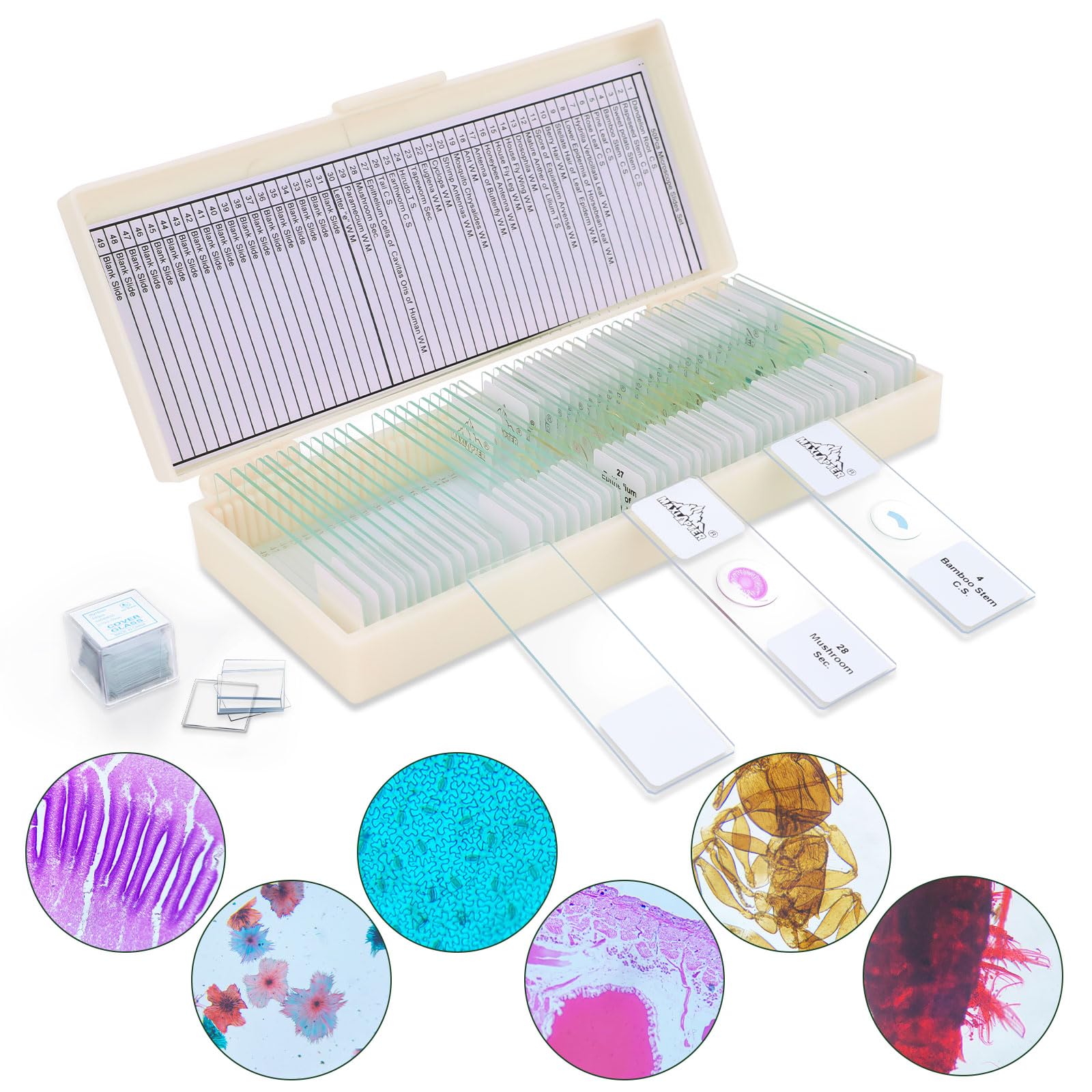 50 Microscope Slides and 100 Covers Set - 30 Prepared Microscope Slides with Specimens, 20 Blank Microscope Slides and 100 Microscope Coverslips - Microscope Slides for Kids Students Homeschool Use