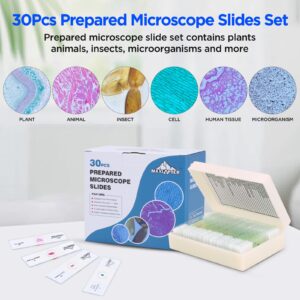 30 Microscope Slides with Specimens for Kids, Prepared Microscope Slides Set with Plants Animals Insects, Microscope Slides for Kids Students Homeschool Basic Biological Science Education