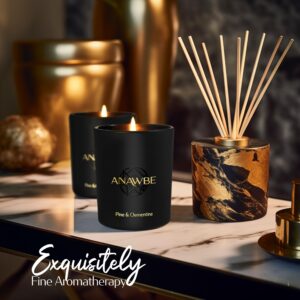 ANAWBE Pine & Clementine Scented Candle, Scented Candles for Men, Soy Candles, Invigorating Pine Candle for Home, Masculine Black Candles, 45-Hour Long-Burning, A Premium Aromatherapy Candle