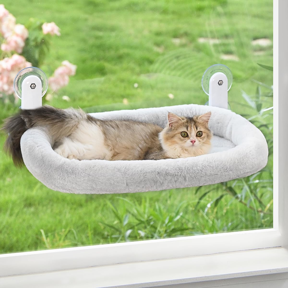 Zoratoo Cat Window Perch, Cordless Cat Hammock Window Seat with Cozy Pad Bed Cover for Indoor Cats, Durable Metal Frame Support Cat Bed with 4 Suction Cups for Large Cats (Cushion Pad Bed - Grey)