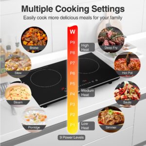 VBGK Double Induction Cooktop, 24 inch 4000W Induction stove top with hot plate,Electric cooktop with LCD Touch Screen 9 Levels Settings with Child Safety Lock & Timer 110V Induction cooktop 2 burner