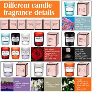 MTLEE 36 Pcs Christmas Candles Bulk Candles for Home Scented Candles Gift Set for Women Long Lasting Aromatherapy Jar Candle for Birthday Teacher Thanksgiving Anniversary(Bright Style)