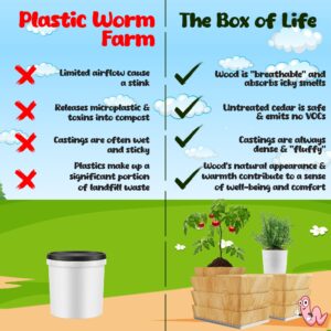 WWJD Worms The Box of Life Worm Wood Composter - Odorless Indoor Vermicomposting Bin - Worm Bins for Composting - Ideal Addition to Worm Composting Kit - Cedar Worm House (Planter Top)