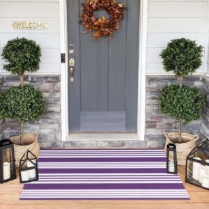 Purple and White Striped Outdoor Rug 24'' x 51''Outdoor Front Porch Rug Hand-Woven Machine Washable Indoor/Outdoor Layered Door Mats for Entryway/Bedroom/Outdoor