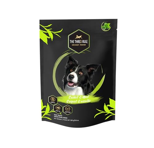 The3Rule Cricket & Mint Dog Treat 280g