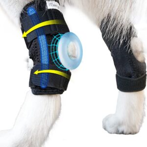 MerryMilo Dog Leg Brace for Rear Hock & Ankle, Canine Hind Leg Joint Compression Wrap for Torn ACL & CCL, Injury and Sprain Protection, Wound Care and Loss of Stability 1 Pair, Size: Large