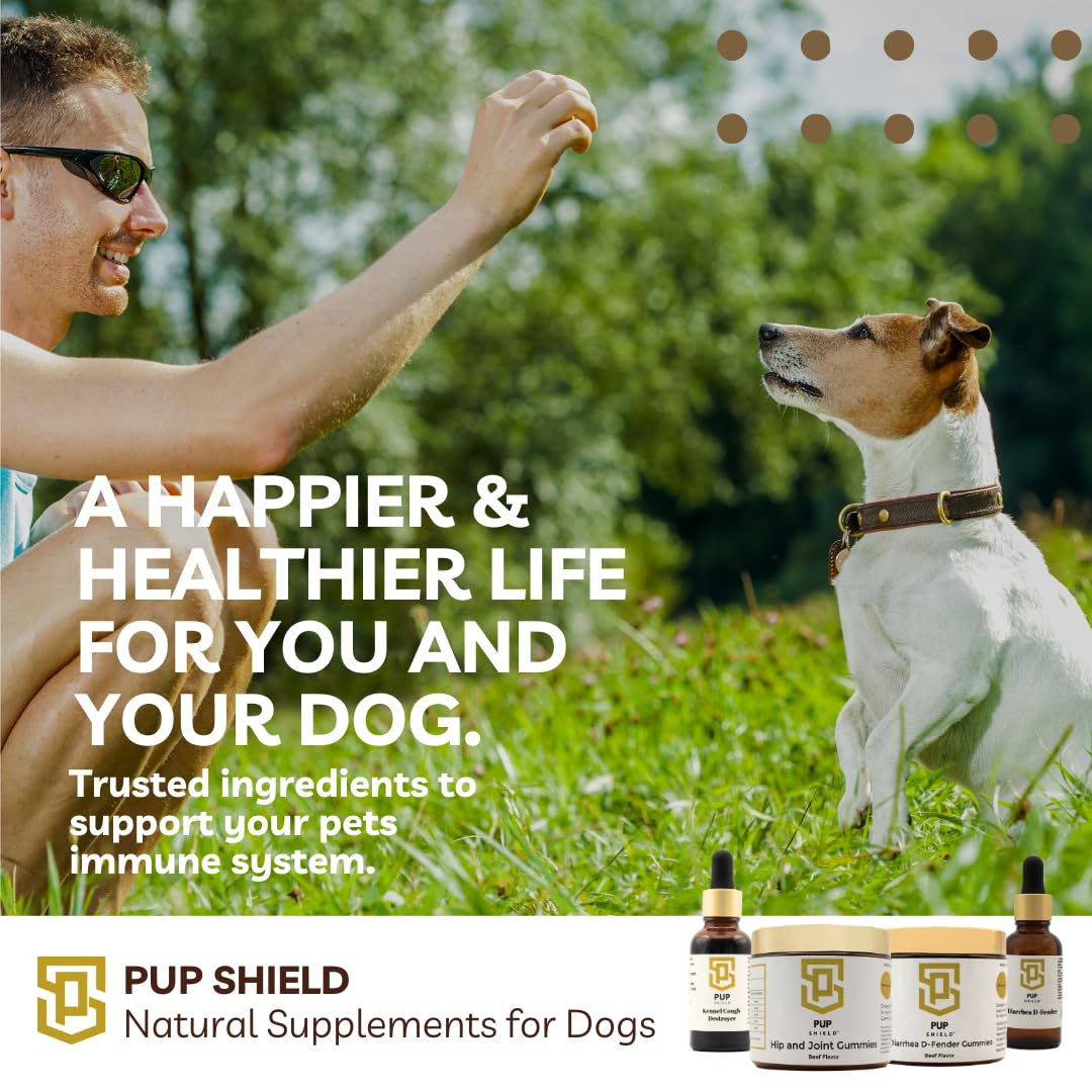 Pup Shield Digestive Support D-Fender Drops Supplement Fast Digestion Vitality | Natural Probiotic Gut Support Soothes Stomach Supports Regularity Real-Pumpkin Flavor Liquid Digestive Aid for Dogs