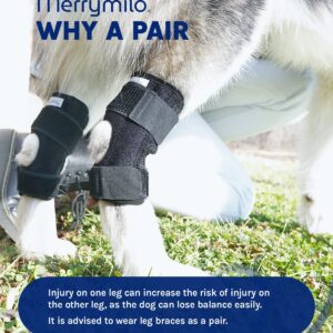 MerryMilo Dog Leg Brace for Rear Hock & Ankle, Canine Hind Leg Joint Compression Wrap for Torn ACL & CCL, Injury and Sprain Protection, Wound Care and Loss of Stability 1 Pair, Size: Large