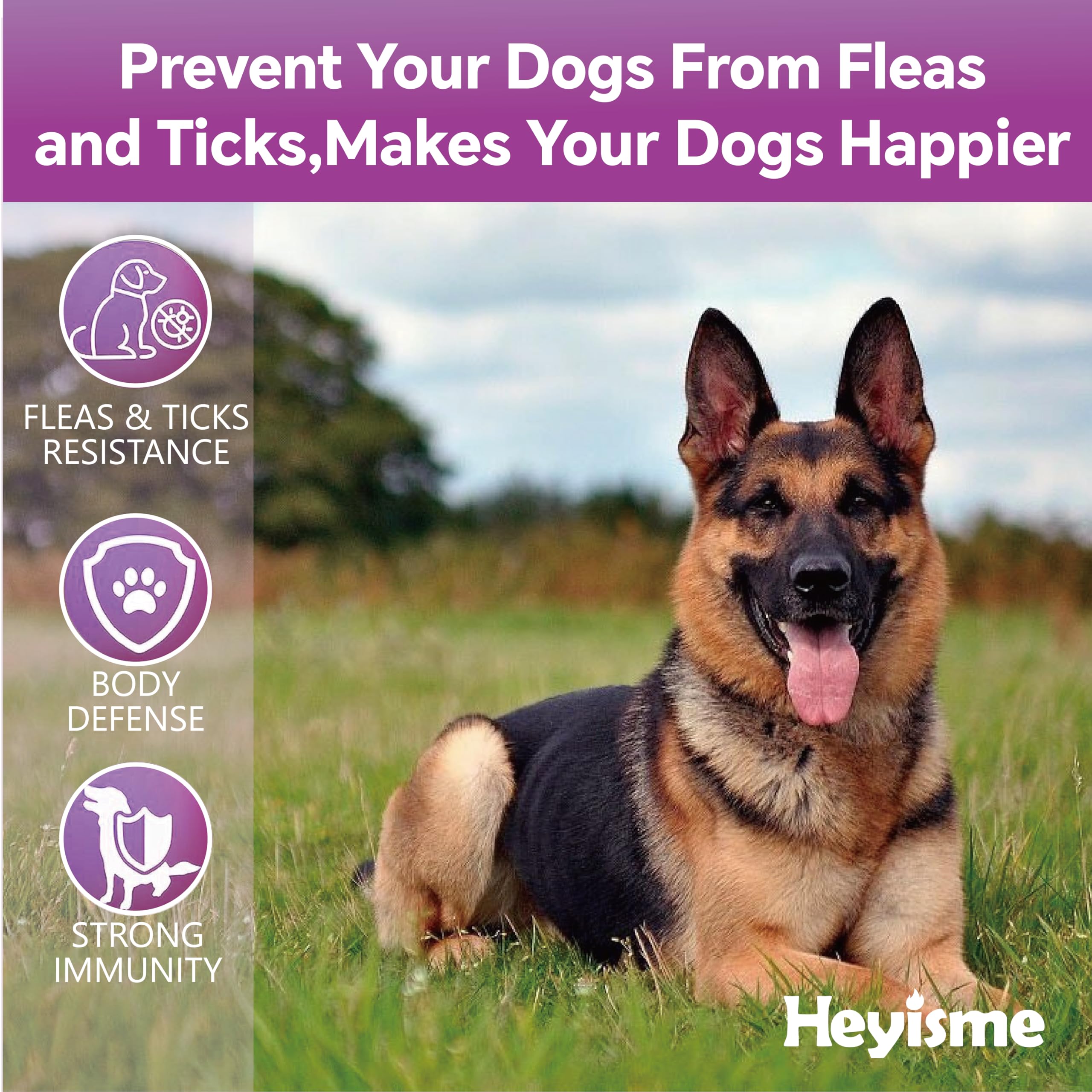 HEYISME Flea and Tick Prevention for Dogs Chewables, Natural Dog Flea and Tick Control Supplement, Flea Treatment for Dogs, Oral Flea and Tick Chews Treats for All Breeds and Ages (Chicken, 120 Chews)