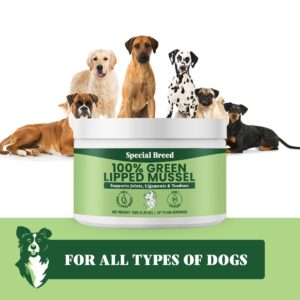 Green Lipped Mussels for Dogs & Cats - Premium Joint Supplement Powder for HIPS, Joints, and Muscles (150 Grams, Up to 500 Servings)