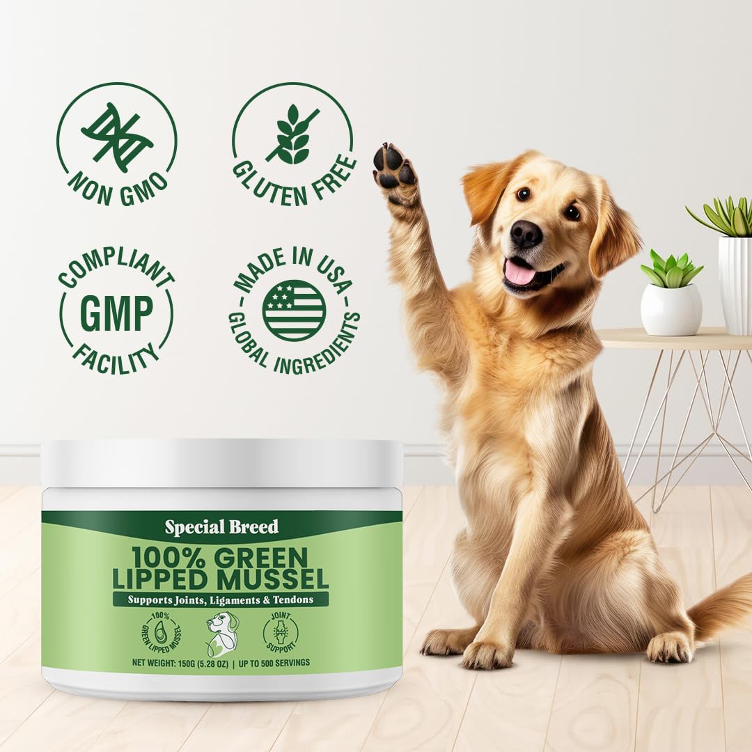 Green Lipped Mussels for Dogs & Cats - Premium Joint Supplement Powder for HIPS, Joints, and Muscles (150 Grams, Up to 500 Servings)