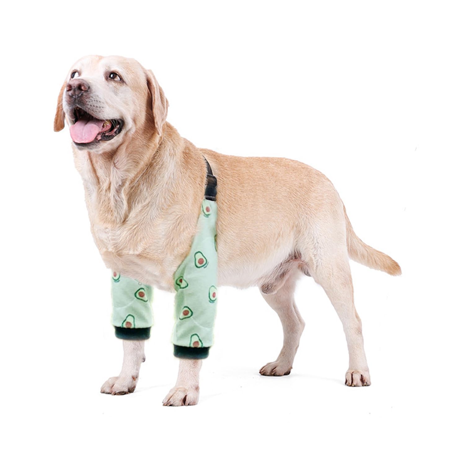 HDKUW Dog Elbow Protector, Dog Leg Recovery Sleeve for Prevent Licking Wound, Joint Sleeves with Mesh Pad for Medium Large Dogs Thickened Avocado 2XL