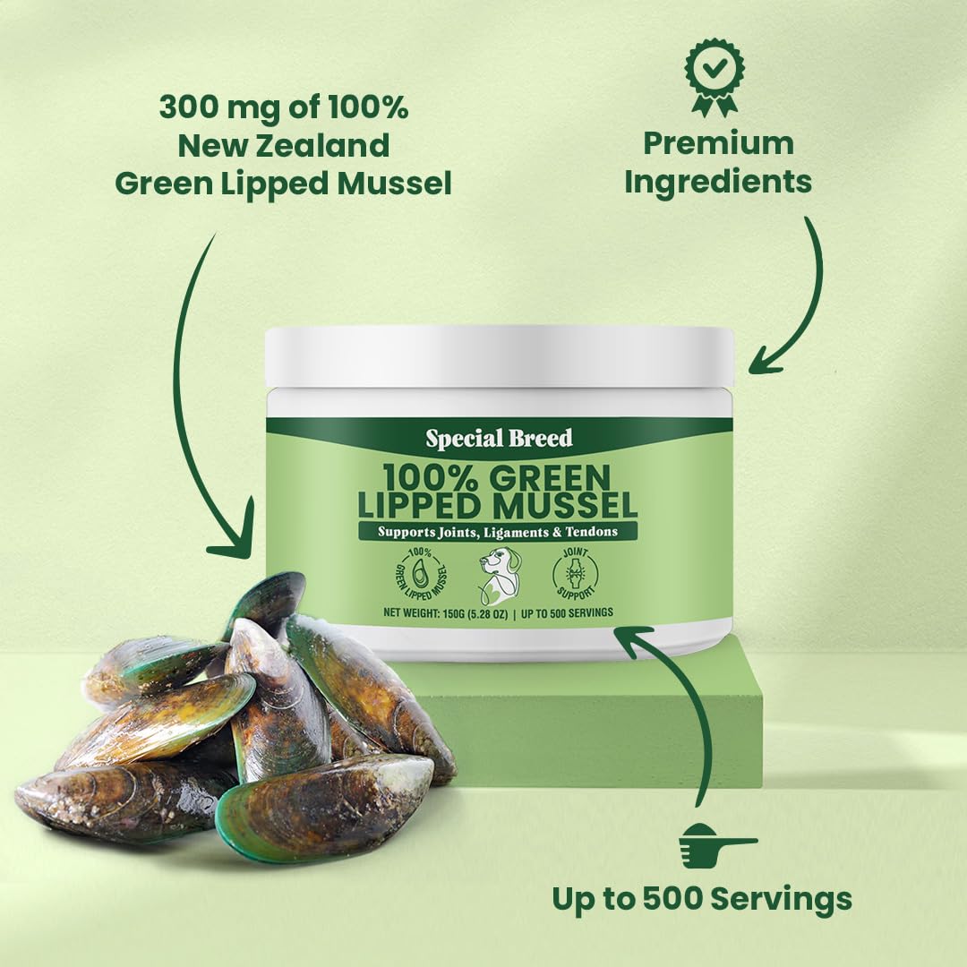 Green Lipped Mussels for Dogs & Cats - Premium Joint Supplement Powder for HIPS, Joints, and Muscles (150 Grams, Up to 500 Servings)