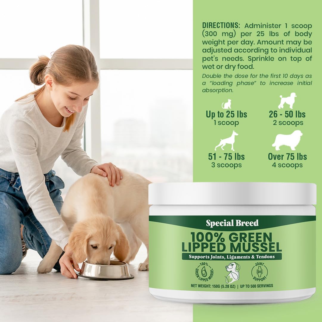 Green Lipped Mussels for Dogs & Cats - Premium Joint Supplement Powder for HIPS, Joints, and Muscles (150 Grams, Up to 500 Servings)