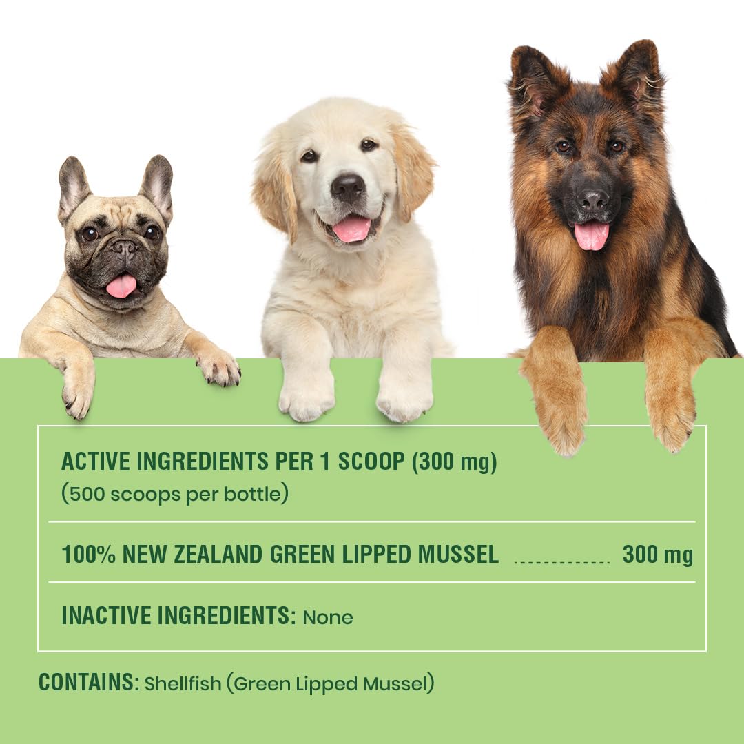 Green Lipped Mussels for Dogs & Cats - Premium Joint Supplement Powder for HIPS, Joints, and Muscles (150 Grams, Up to 500 Servings)