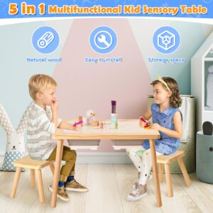 Purelax Children's Sensory Table with 2 Stool, Multifunction Toddler Play Sand Table Indoor Art Table Drawing Table for Kids, Toddler Sensory Table with 2 Storage Bin & 2 Stool