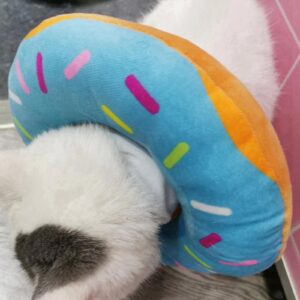 Soft Cat Cone,Donut Cat Cone Collar Soft, Adjustable Cat Recovery Collar, Soft Kitten Cone, Cat Cones to Stop Licking, Cute Cat Donut for Cats Neck,Soft Elizabethan Collars After Surgery