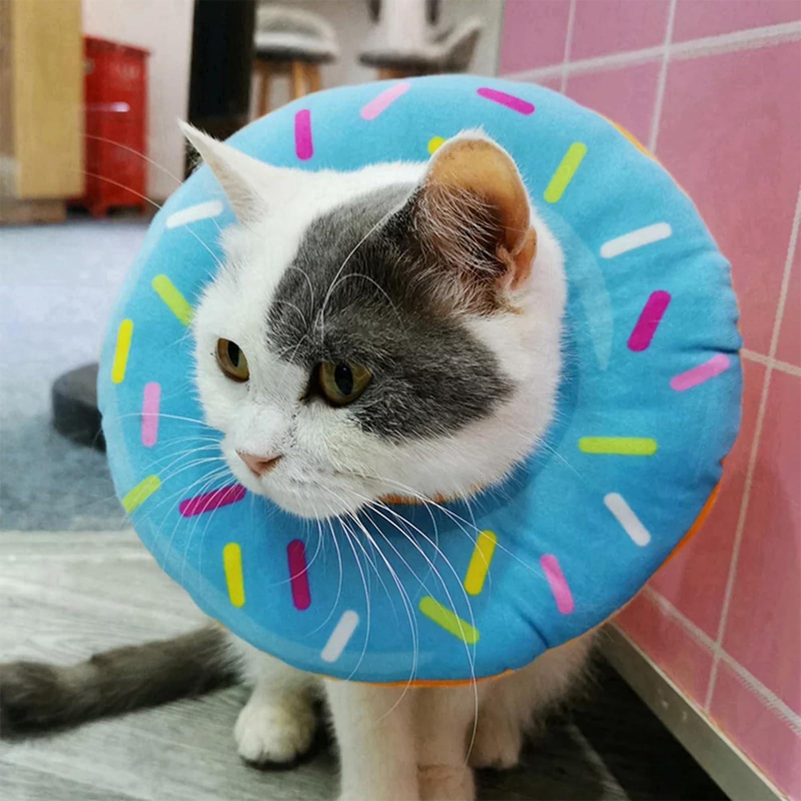 Soft Cat Cone,Donut Cat Cone Collar Soft, Adjustable Cat Recovery Collar, Soft Kitten Cone, Cat Cones to Stop Licking, Cute Cat Donut for Cats Neck,Soft Elizabethan Collars After Surgery