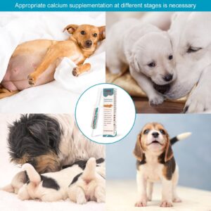 Oral Calcium for Dogs Fast Absorbing Calcium Supplement Liquid - Whelping, Nursing, and Calcium Deficiency Supporting Efficient Labor-30 cc