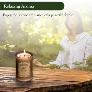 ADK Balsam & Fir Scented Candle, 4.5 Oz Natural Aromatherapy Candle for Home Decor & Kitchen Décor, Relaxing Plant-Based Wax Candles Perfect for Gift Giving