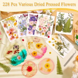 6 Sheets Dried Pressed Flowers for Crafts, Real Dried Florals and Leaves for Scrapbooking Resin Jewelry Molds Candle Soap Making Nail Art Makeup