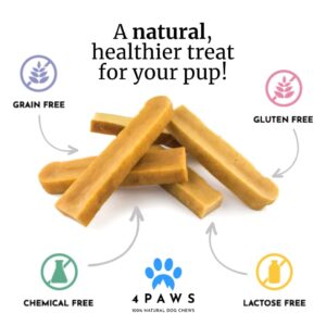 4PAWS Himalayan Yak Cheese Dental Chews | 100% Natural Dog Chews | Lactose Free, Gluten Free | Long-Lasting Dog Treats (5 Small Chews)