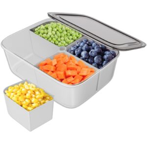 freshmage® veggie tray with lid, small divided serving tray container with 4 removable compartments for food storage of fruits/vegetables/snacks, dishwasher safe & bpa-free