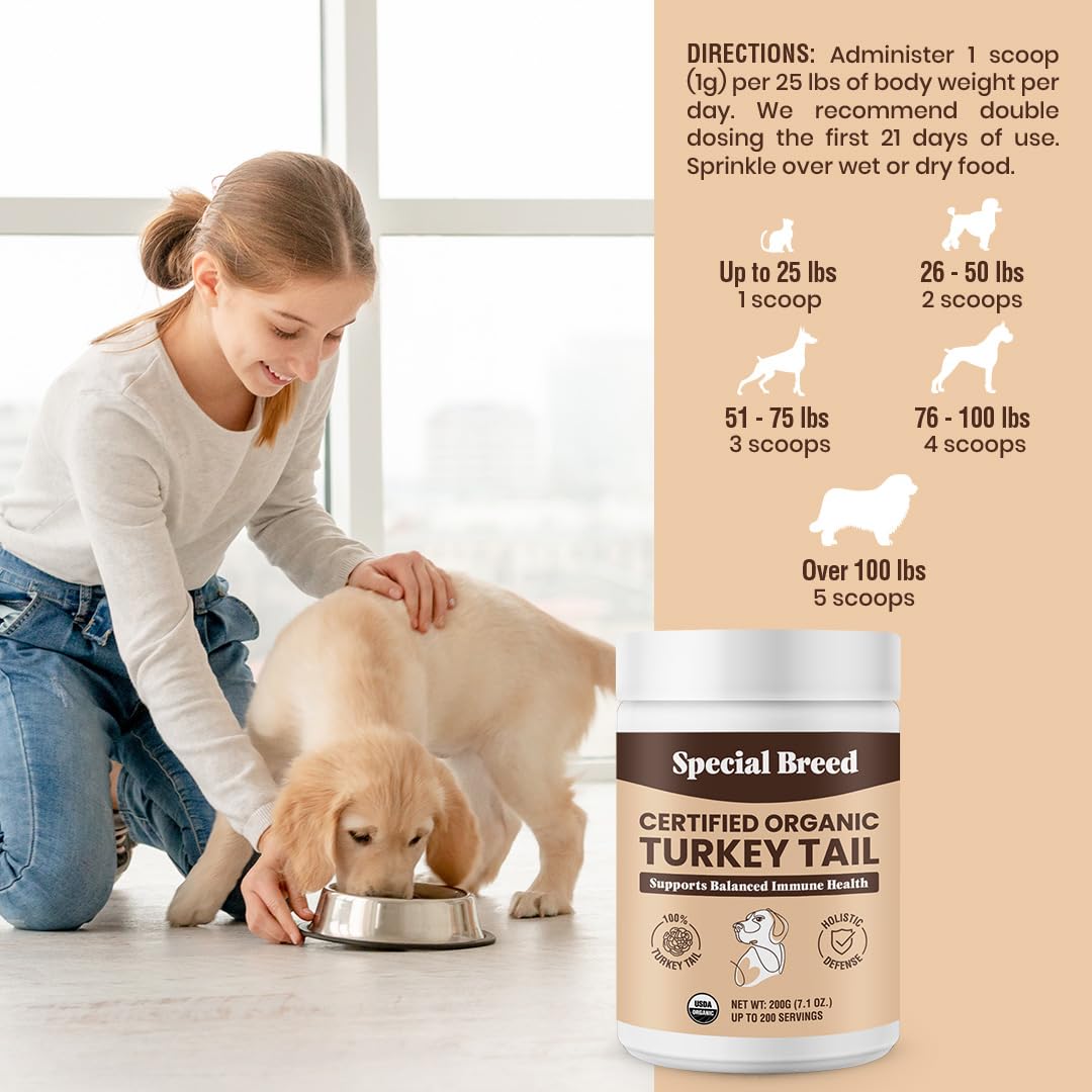 Special Breed Turkey Tail Mushroom for Dogs and Cats - Certified Organic Turkey Tail Powder, Canine Immune Support, 200 Grams