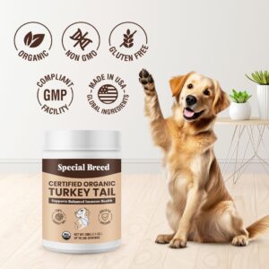 Special Breed Turkey Tail Mushroom for Dogs and Cats - Certified Organic Turkey Tail Powder, Canine Immune Support, 200 Grams