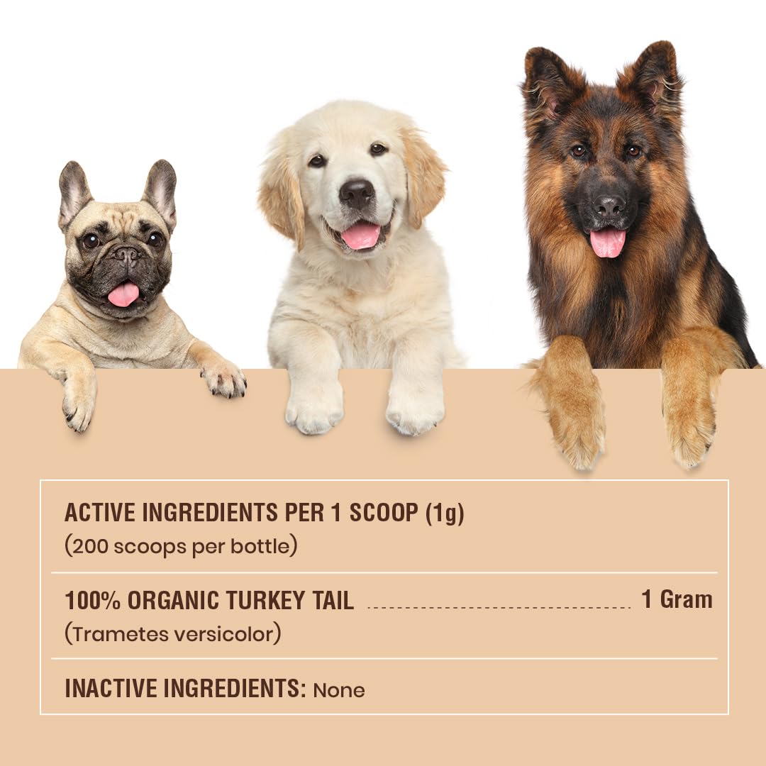 Special Breed Turkey Tail Mushroom for Dogs and Cats - Certified Organic Turkey Tail Powder, Canine Immune Support, 200 Grams