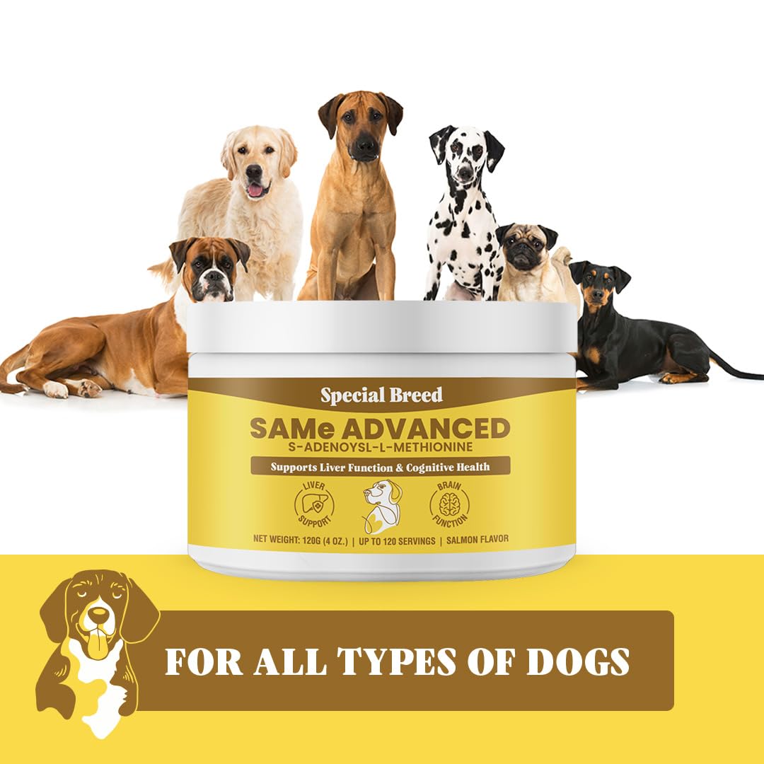 Special Breed Same for Dogs - S-Adenosyl-L-Methionine, Same Advanced, Liver Support Supplement for Dogs, Brain and Cognitive Support, Sam e for Dogs (120 Grams)