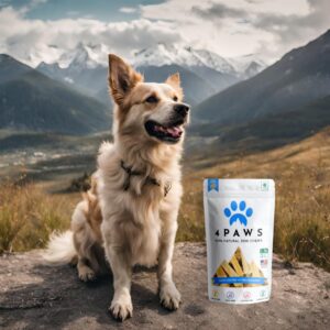 4PAWS Himalayan Yak Cheese Dental Chews | 100% Natural Dog Chews | Lactose Free, Gluten Free | Long-Lasting Dog Treats (5 Small Chews)