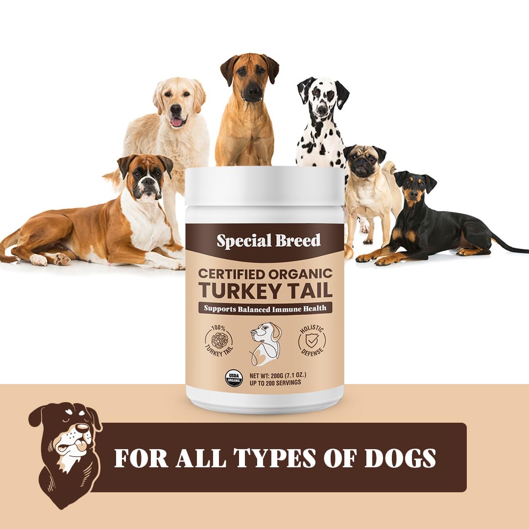 Special Breed Turkey Tail Mushroom for Dogs and Cats - Certified Organic Turkey Tail Powder, Canine Immune Support, 200 Grams