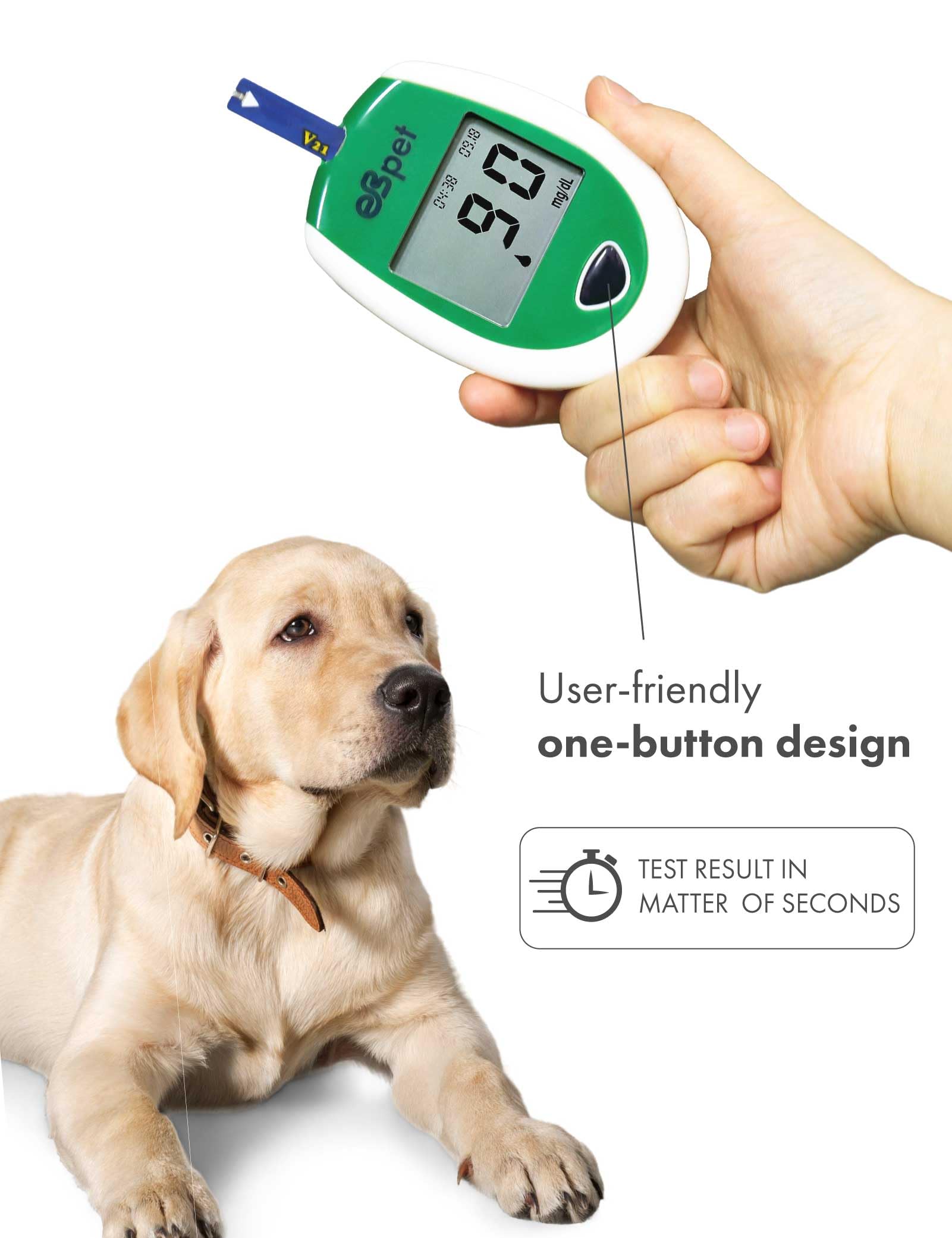 eBmonitor eBpet Blood Glucose Monitor System - Dogs and Cats Glucose Monitoring Kit 25 Blood Glucose Test Strips Lancing Device, Battery, 26 Gauge Sterile Lancets, and Carrying Case, Animal Care, Easy Switch between dogs and cats