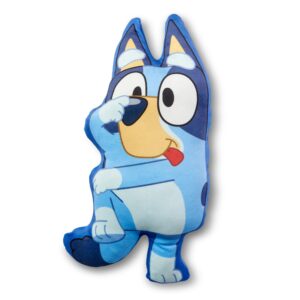 northwest bluey cloud pal character pillow, 23", be silly