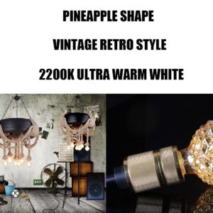 Vintage LED Edison Bulb G30 4W Dimmable LED Filament Bulb Globe Pineapple Shaped Light Bulb 2300K Warm White E26 400LM Equivalent 40W Incandescent (Clear, 6 Pack)