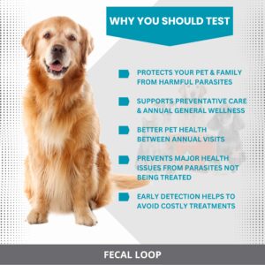 Fecal Loop for Small and Medium Animals, Stool Sample Collection Kit for Small Dogs, Goats, Sheep and Other Small Animals. Take Stool Samples Quickly and Easily with Reusable Double end Loop.