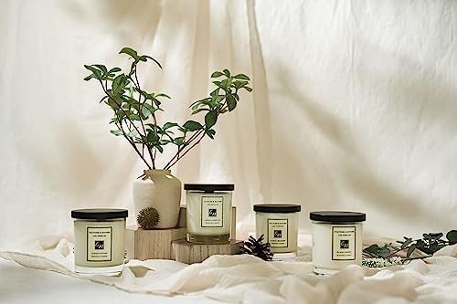 CULTURE & NATURE Lime Basil & Mandarin Scented Soy Candle (8oz), 100% Natural Soy Wax, Clean Long Burning Wooden Wick, Luxury Home Fragrance