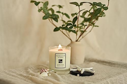 CULTURE & NATURE Lime Basil & Mandarin Scented Soy Candle (8oz), 100% Natural Soy Wax, Clean Long Burning Wooden Wick, Luxury Home Fragrance